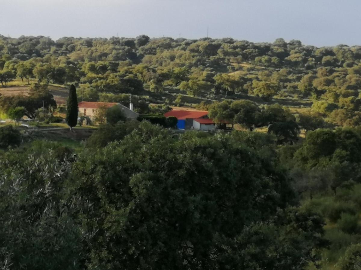 Hostal Monte da Fonte Santa de São Luís Castelo Branco  Exterior foto