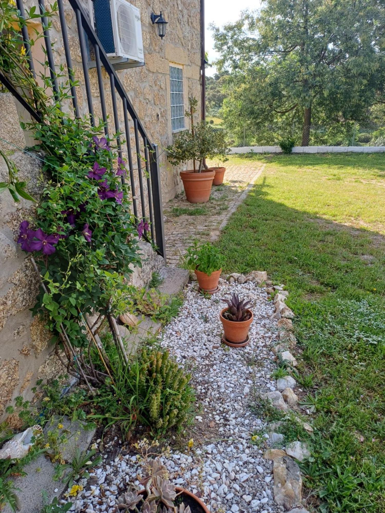Hostal Monte da Fonte Santa de São Luís Castelo Branco  Exterior foto